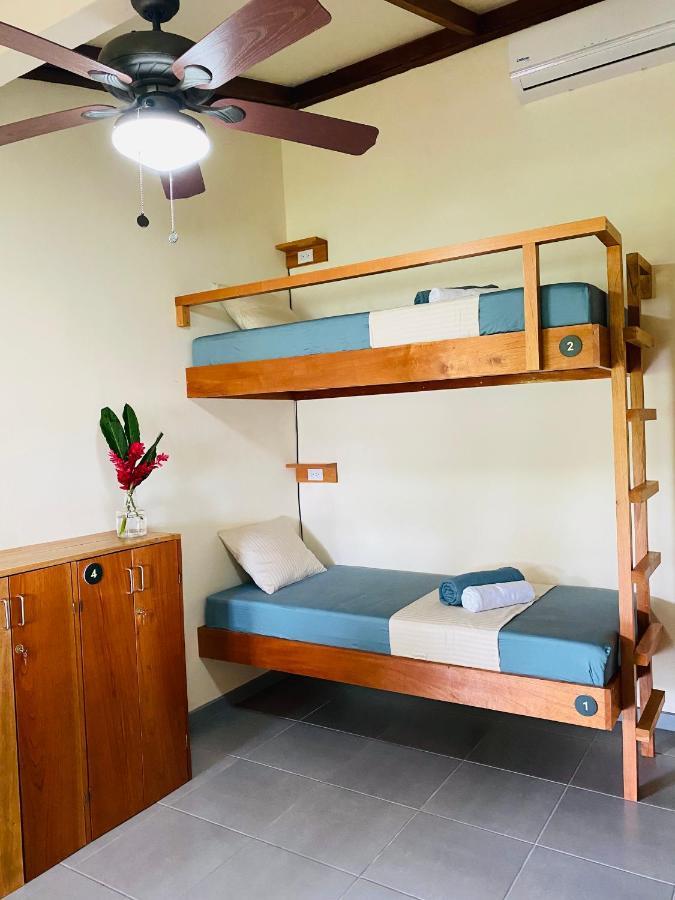 טורטוגוארו El Hostel Del Patio מראה חיצוני תמונה