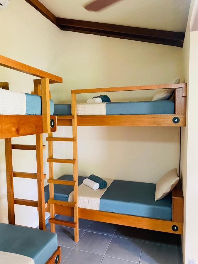 טורטוגוארו El Hostel Del Patio מראה חיצוני תמונה