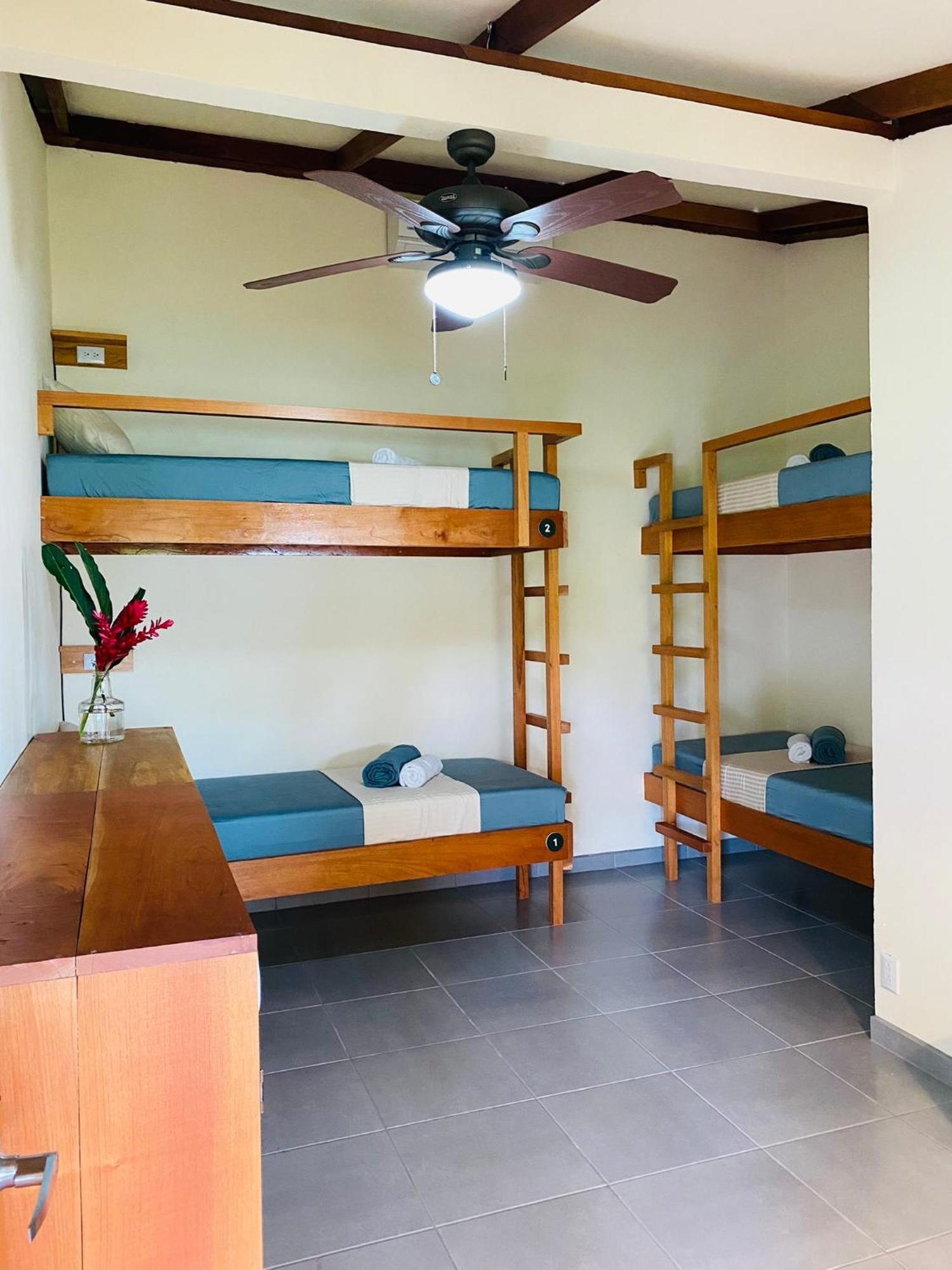 טורטוגוארו El Hostel Del Patio מראה חיצוני תמונה