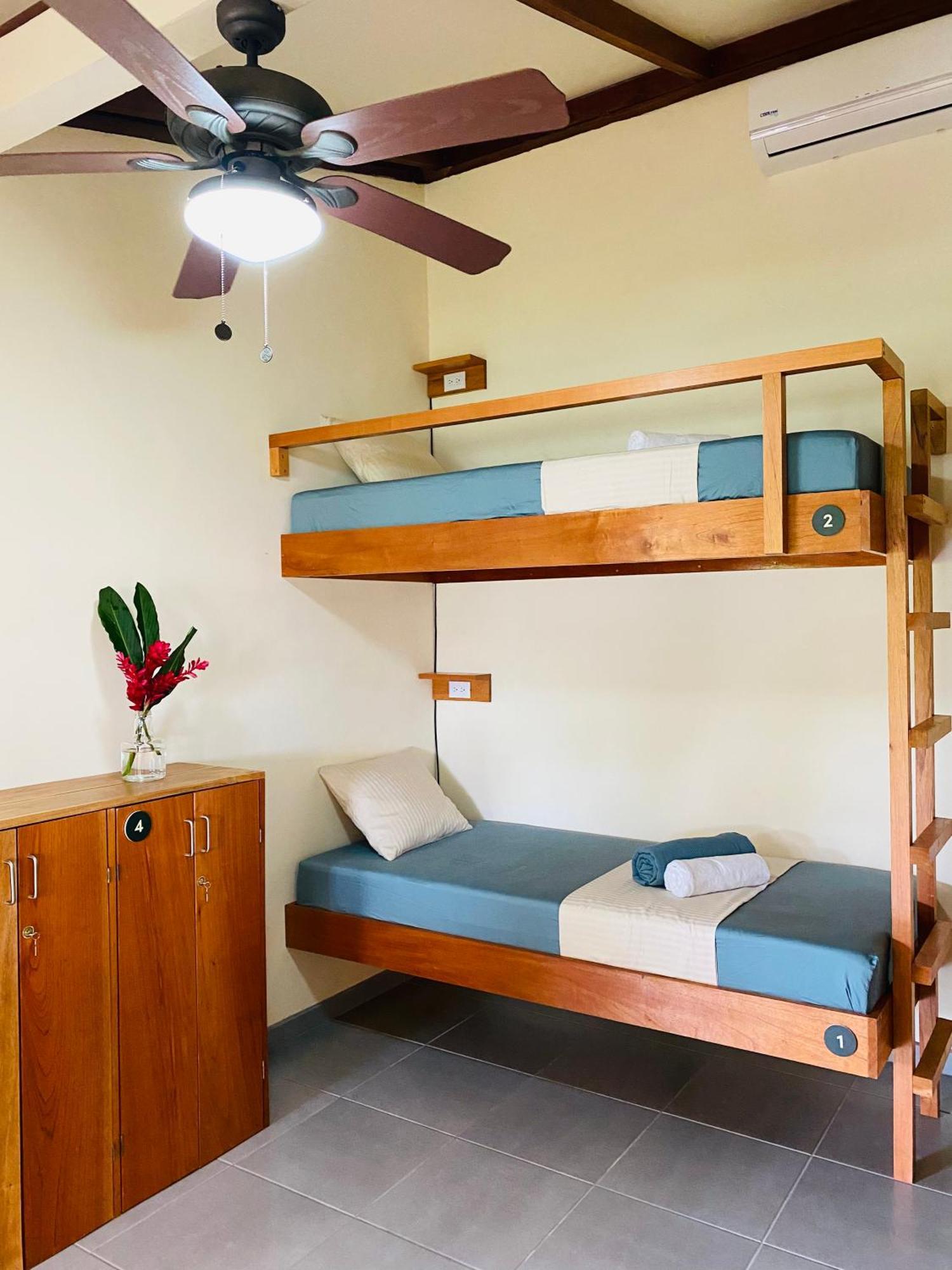 טורטוגוארו El Hostel Del Patio מראה חיצוני תמונה